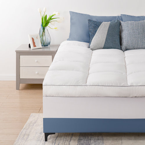 Alwyn Home Slaton 4'' Down Alternative & Reviews Wayfair